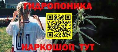 spice Кимры