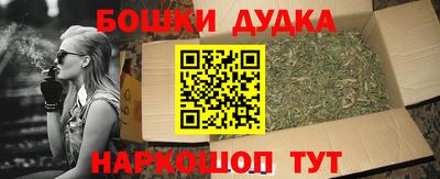 гидра Кингисепп