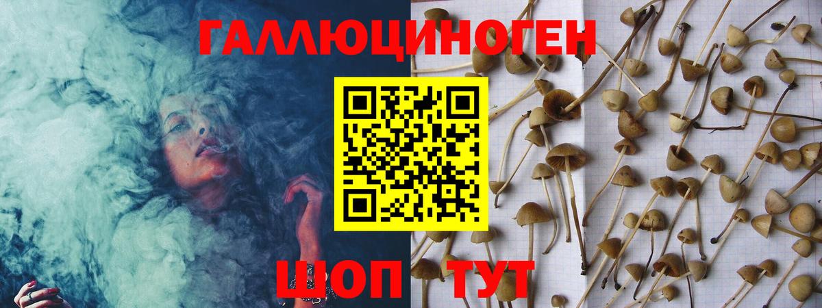 Псилоцибиновые грибы прущие грибы  Вход с VPN  купить наркоту  Коркино 